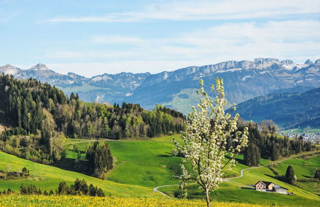 Panoramablick - Foto 16