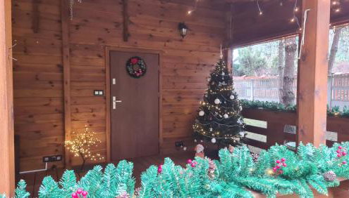 Dom wypoczynkowy Jelonek - Foto 2