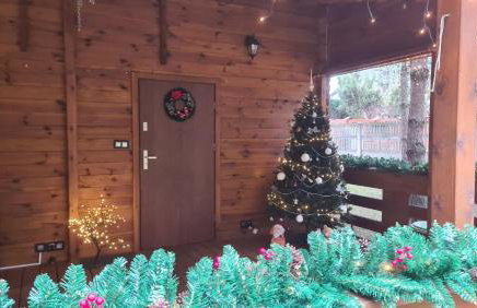 Dom wypoczynkowy Jelonek - Foto 2