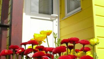 Ferienhaus Tiny Löwenzahn - Foto 4