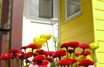 Ferienhaus Tiny Löwenzahn - Foto 4