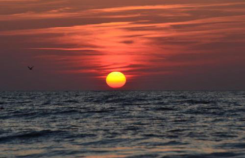 Apartament - Ferienwohnung Aurora nad morzem w Dziwnowku - Foto 5