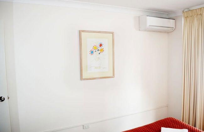 Spring Hill Mews Apartments - Photo 7