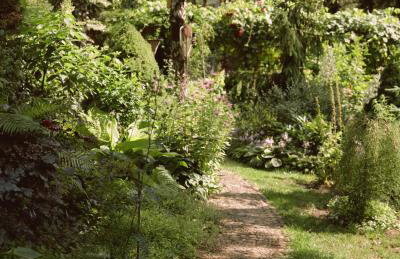 Przystanek Zielnik - Foto 8