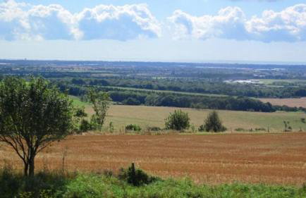 2 Walled Garden Cottages, West Wittering - Foto 21