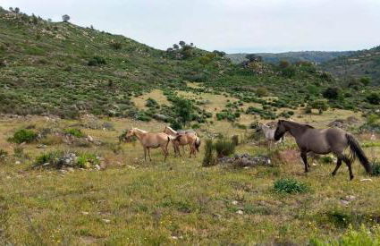 Casa das Histórias - Foto 21