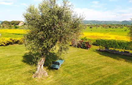 Agriturismo La Dependance - Foto 45