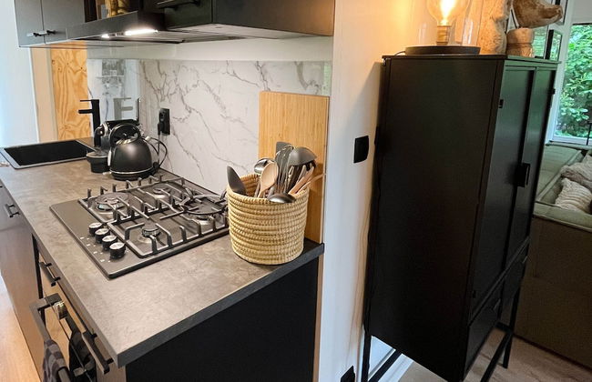 Holiday Home in Rheezerveen With Sauna - Foto 7