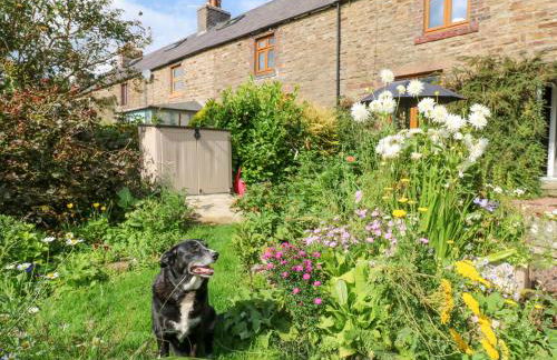 3 Tindale Terrace - Foto 27