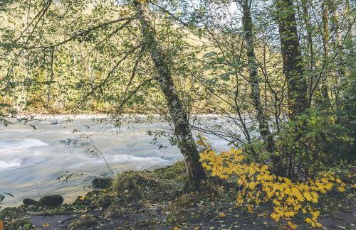 River Dance Retreat - Meredith Lodging - Foto 44