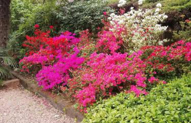 Villa Banfi - Foto 29