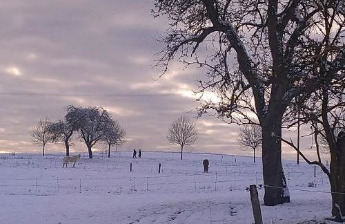Ferienwohnung im Naturpark Rhein-Westerwald - Foto 23