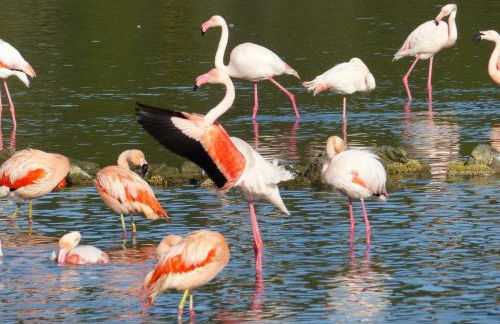 Au Cœur des Remparts - Foto 27