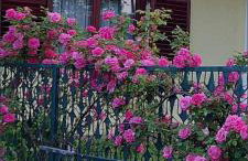 Kuća za odmor ,Erdelj 21 B - Foto 37