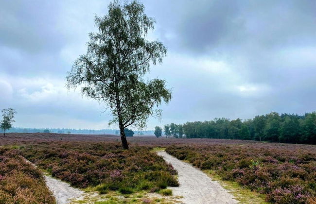 Getaway With Garden in Gelderland - Foto 39