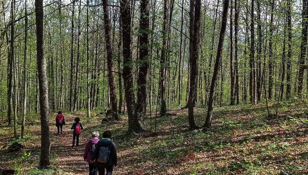 Haciendo senderismo por el valle del Ambroz