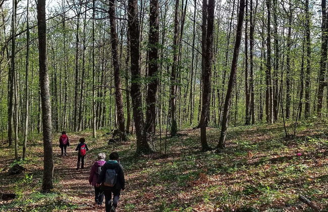 Senderismo por el valle del Ambroz - Foto 5