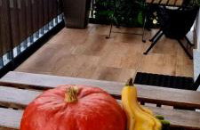 Leśna Przystań Rumia - obok Gdyni i Aquaparku Reda - Foto 74