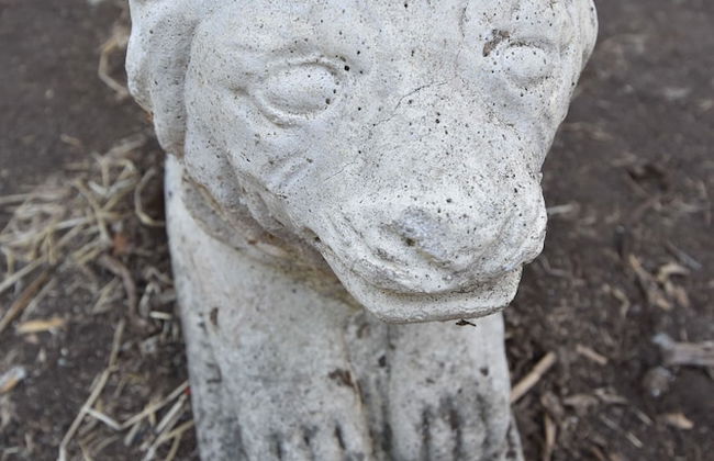 Gato Azul Coliving - Foto 21