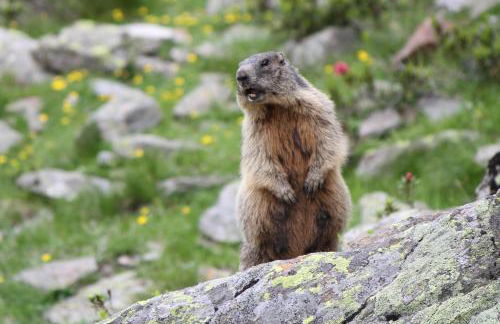 Apparthotel Marteshof - Foto 51