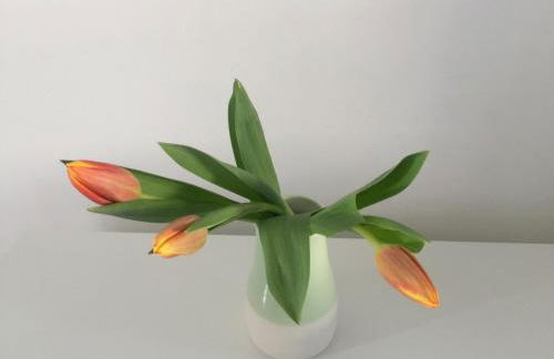 Whitstable The Jolly - Foto 23