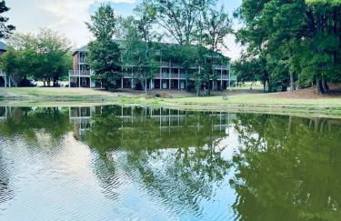 Lakefront Condo - King Bed Full Kitchen - Foto 31