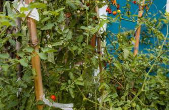 Urban Nest Guest House - Foto 48