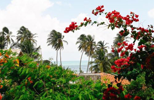 Casa Bem Te Vi - Foto 1