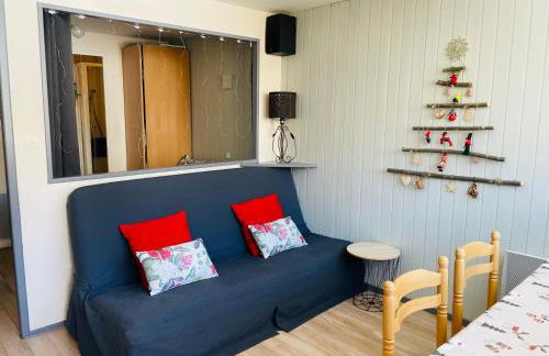 Studio pied de pistes Tour de la Biche - Photo 1