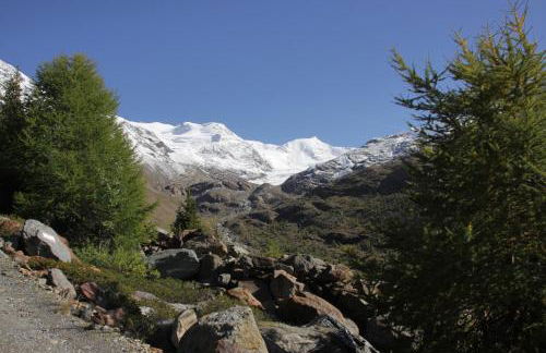 Anemone Home - Foto 20