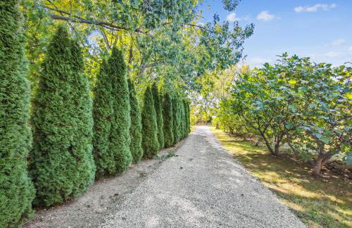 Crepe Myrtle - Foto 8