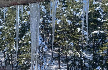 Montaria Suite - Photo 17