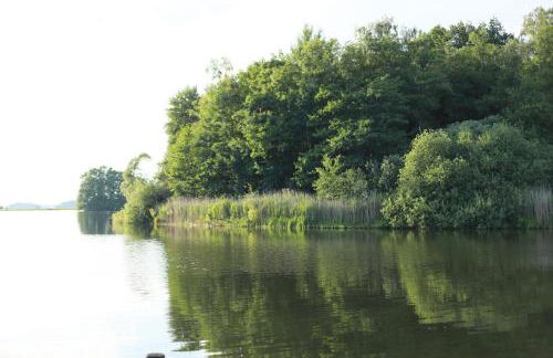 Angelina 13 - Foto 17