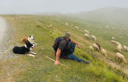 Studio Piccola Renna - Foto 47