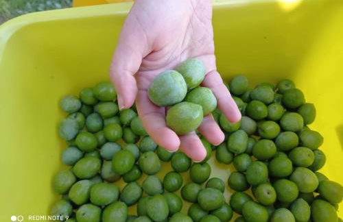 Casa blu' con terrazza panoramica - Foto 30