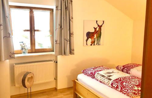 Schmölz Robert - Foto 6