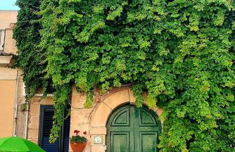 La Vite Americana - Foto 1