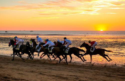 Aires de Doñana. Piscina y Playa. Parking gratis. - Foto 40