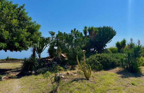 La casa al Rais - Foto 34