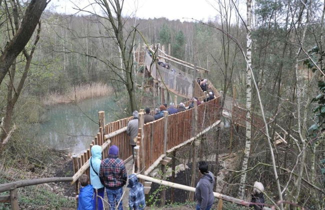 Farm Stay With Sauna, Teuven - Foto 29