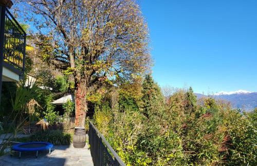 Bella Vista Lago Maggiore Einzigartiger Blick 365 Tagen - Foto 65