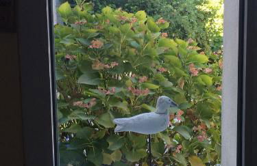 Gîte La Terrasse Du Verger - Foto 18