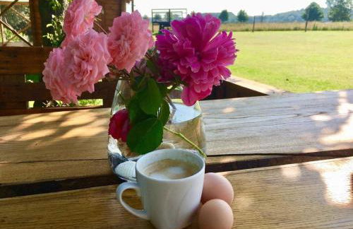 Ferienresidenz Glück auf dem Lande im Ostseeland - Foto 1