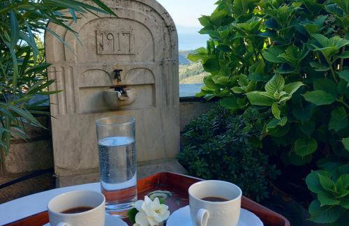 Milies Historic Chalet Pelion - Foto 48