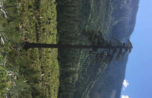 The Great Escape Secluded with Hot Tub - Foto 39