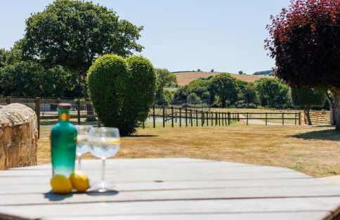 Rookley Farm Lodge Charming Manor Pool House with Heated Pool, Tennis Court & Gardens - Isle of Wight Rural Countryside Escape - Foto 52