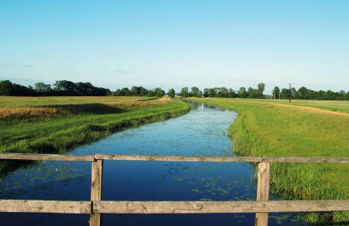 Finnhütten Waldesruh - Foto 37