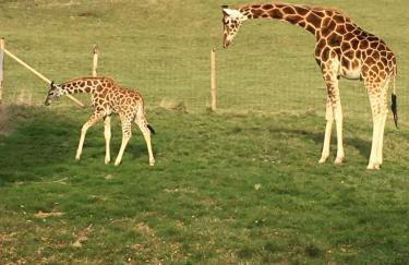 Ahoy There! - Foto 30