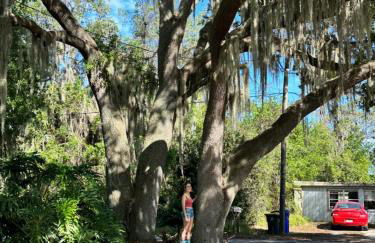 Lake Francis Lily Pad - Foto 7