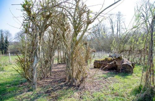 Nuthatch - Kittisford Barton - Photo 36